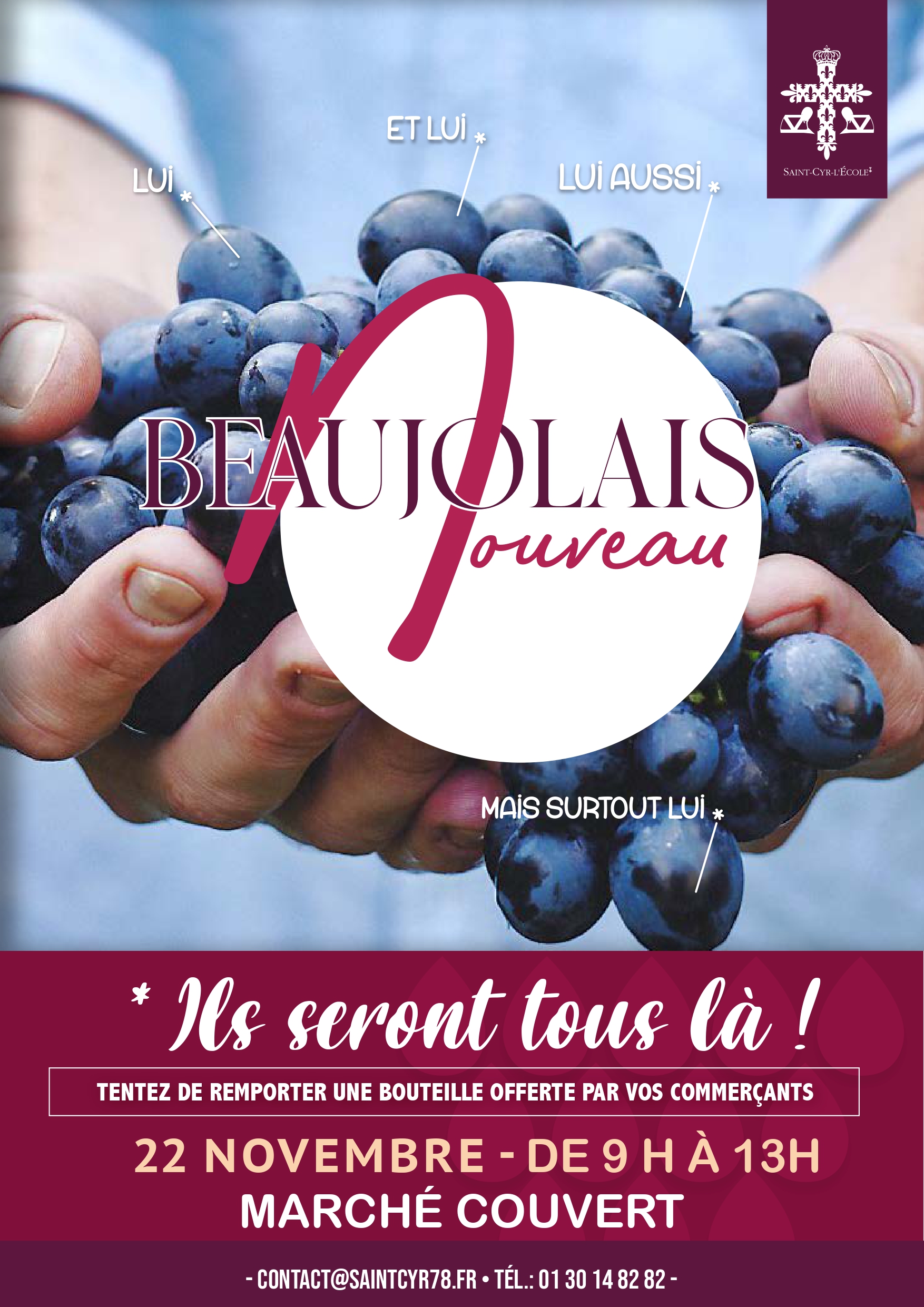 Beaujolais Nouveau